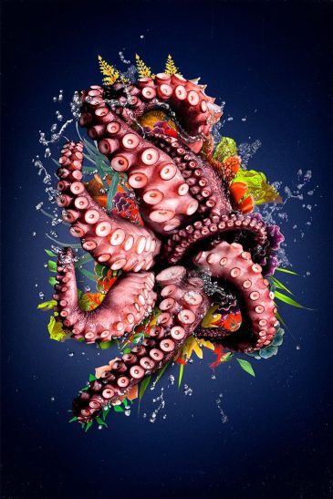 Wanddecoratie van een octopus