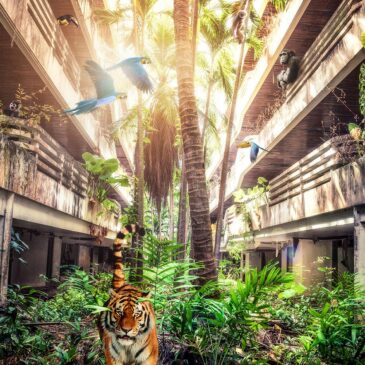 welcome to the jungle