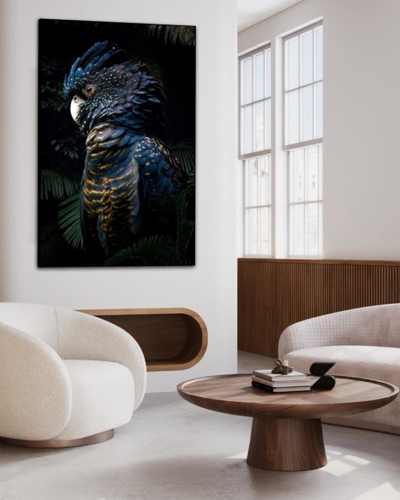 imposing cockatoo on acoustic canvas