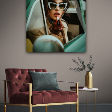 Dynasty Collection II-