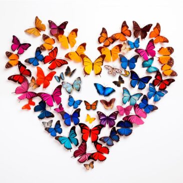 Wanddecoratie van vlinders