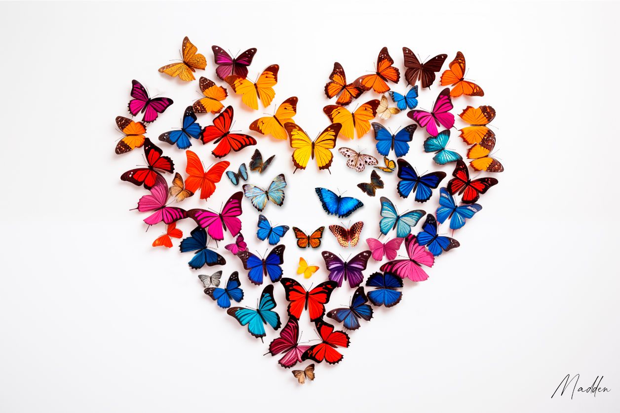 Wanddecoratie van vlinders