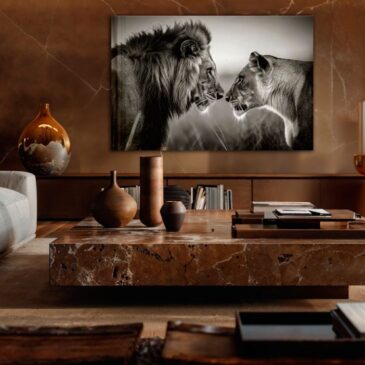 Leeuwenpaar op acrylglas of geluiddempend doek