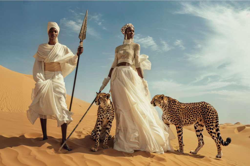 Afrika en cheetah fotokunst