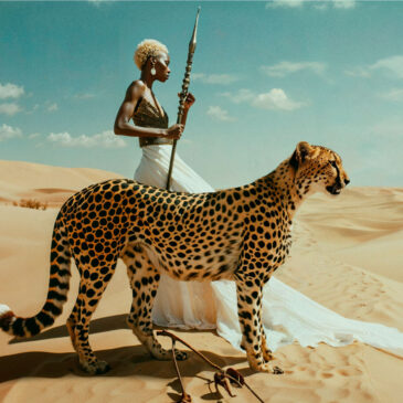 Luxusfoto von Afrika und Cheetah