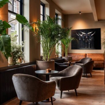 Luxe fotokunst van koeien