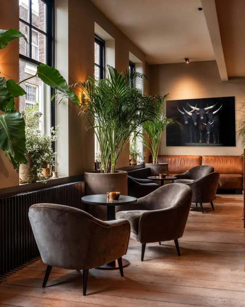 Luxe fotokunst van koeien