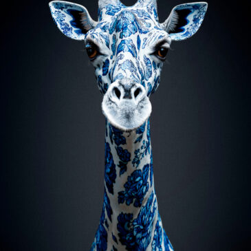 Portrait animal unique d&#39;une girafe