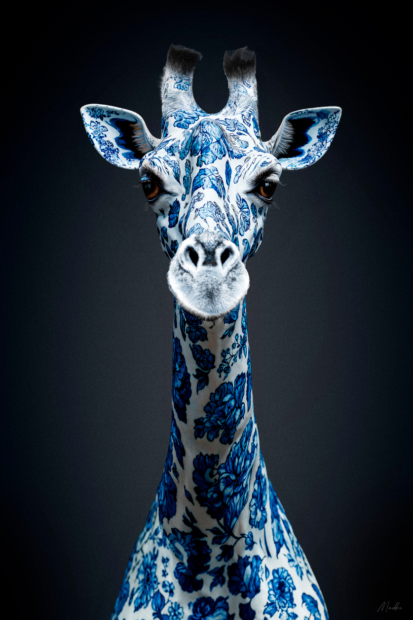 Einzigartiges Tierporträt einer Giraffe
