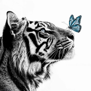Wall art van tijger, Tiger with butterfly