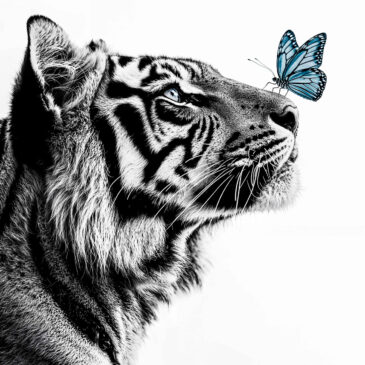 Black and white photo of a tiger with butterfly