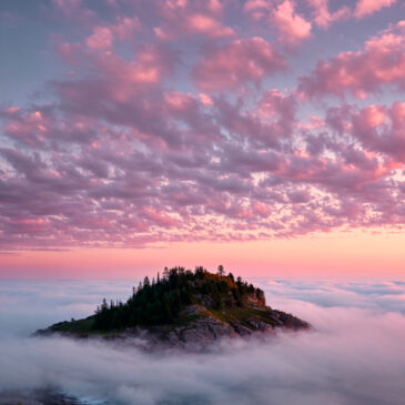 The Art of interior - Hill Island