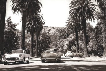 the palm road I