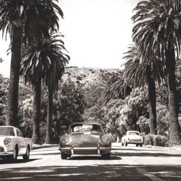 El camino de las palmeras I