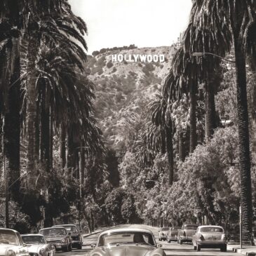 Die Palmenstraße II