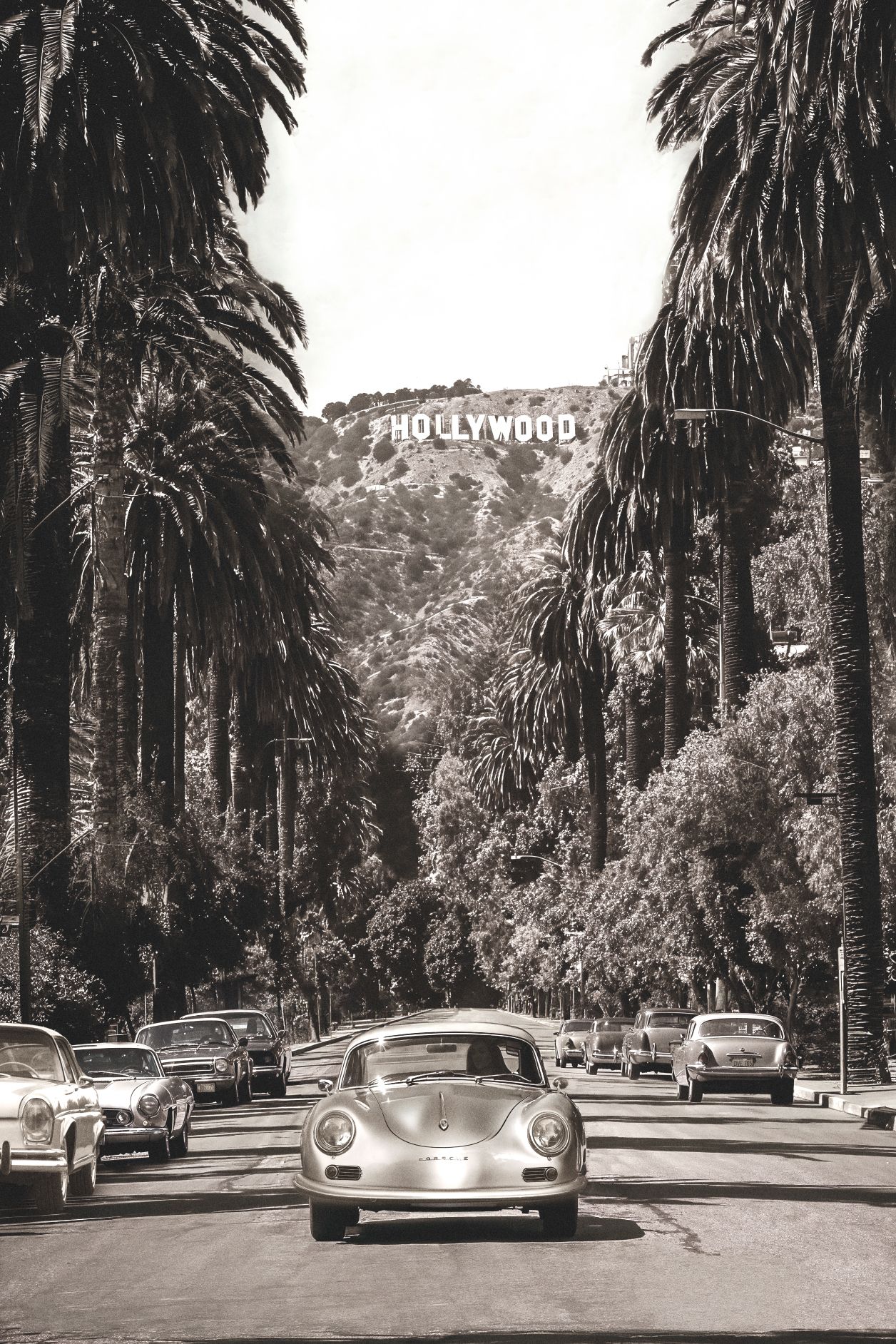 Die Palmenstraße II