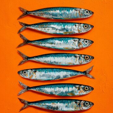 Sardinas