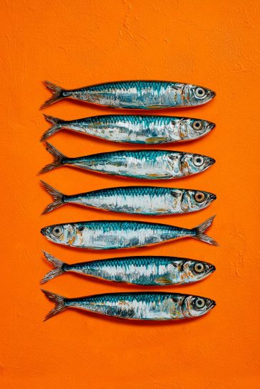 Sardines modern schilderij met vissen en oranje achtergrond