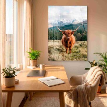 Cuadro de la Vaca II con un montañés escocés como gran decoración de pared sobre un escritorio de madera en una oficina en casa.