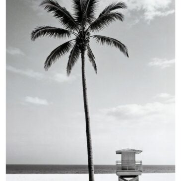 The Lone Lifeguard