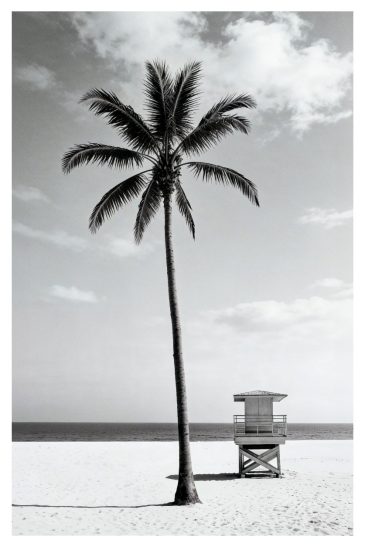 Minimalistische zwart-wit wanddecoratie met palmboom en lifeguard toren op een rustig strand