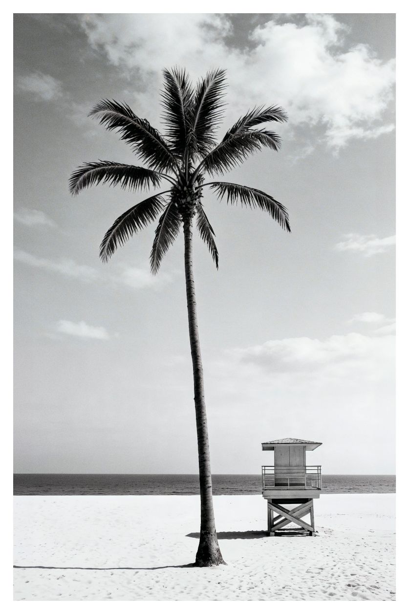 The Lone Lifeguard