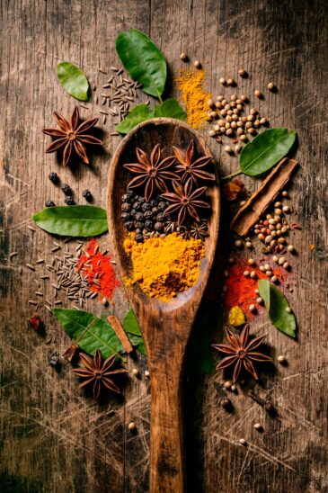 spices of the earth
