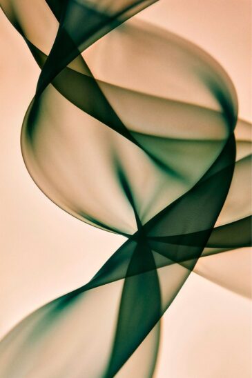 veil harmony