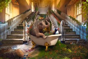 Fantasy-Bath-tub-The-Art-of-Interior-online-gallerij
