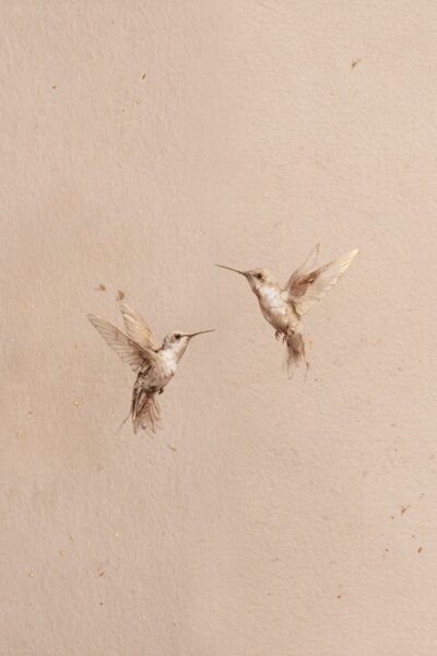 Gilded Hummingbird
