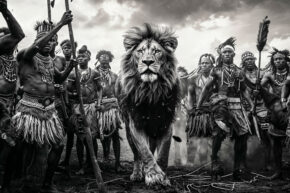 Tribal kunstfoto met majestueuze leeuw