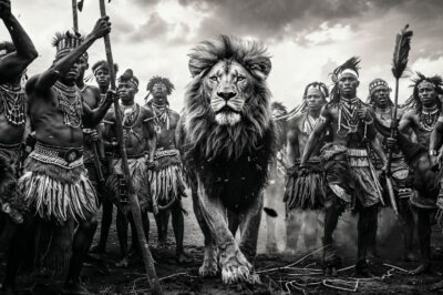 Tribal kunstfoto met majestueuze leeuw