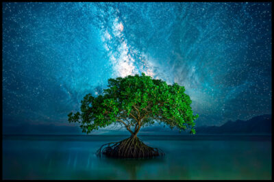 Unique painting of Boom under the stars