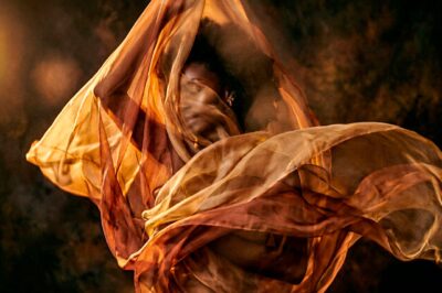 Silk-Cocoon-I