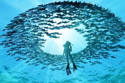 TAOI__0072_Eye-of-the-ocean