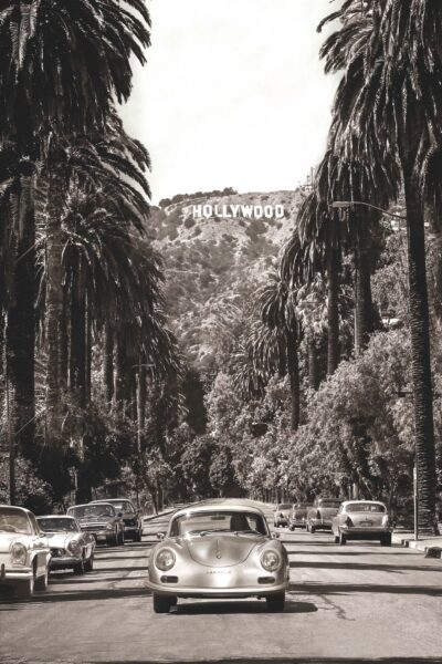 Die Palmenstraße II