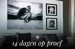 The-art-of-interior-14-dagen-op-proef