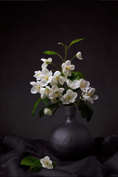 Bloemen wall art van witte appelbloesem